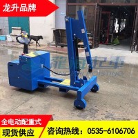珠海液壓小吊車采購批發價格,設備檢修用龍升液壓小吊車