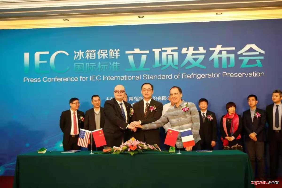 揚起國際標準的“帆”，中國企業(yè)出海乘風破浪